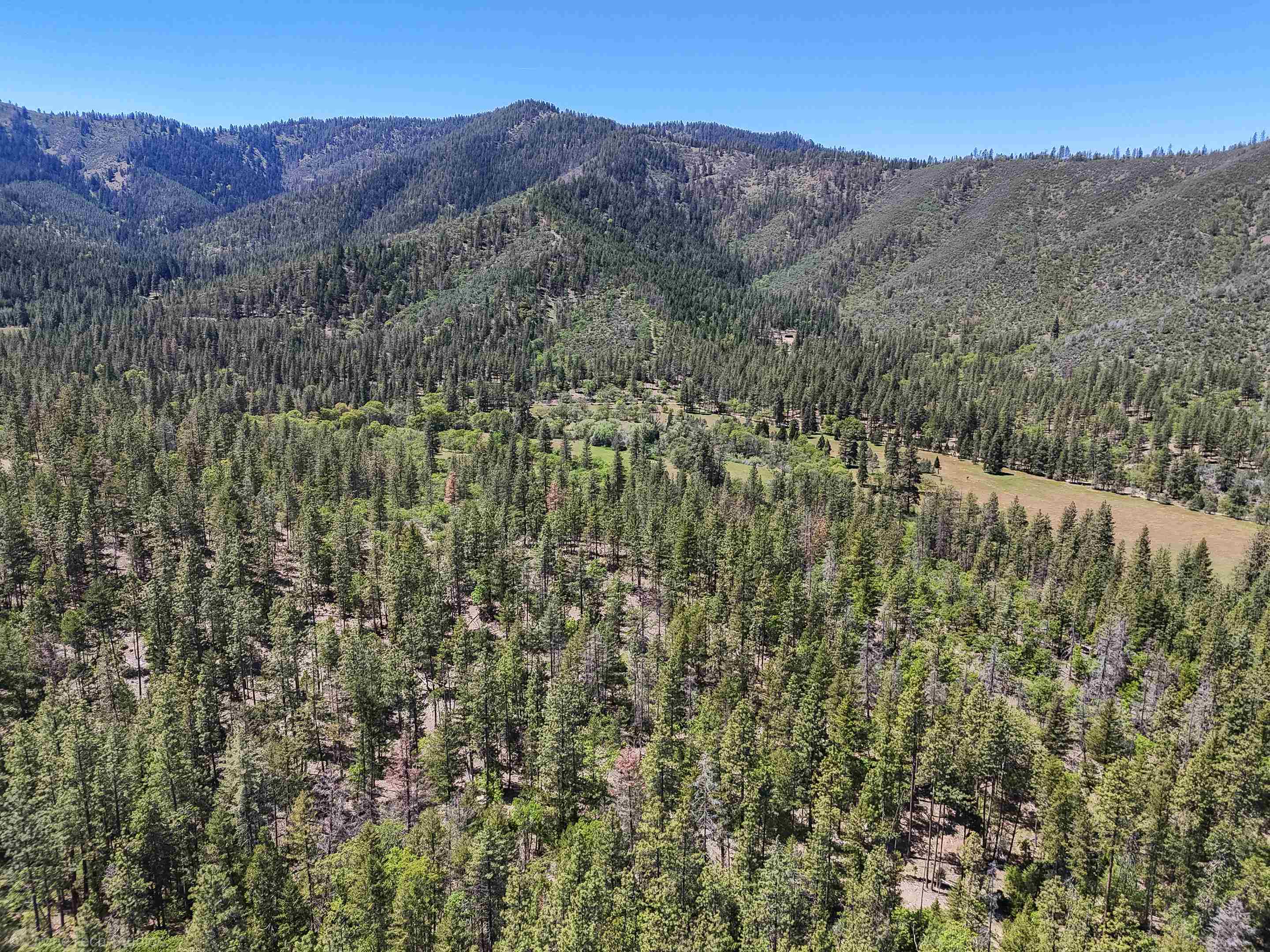 7226 Schulmeyer Gulch Road Yreka, CA 96097 - Photo 12 of 40 Gallery Image 12