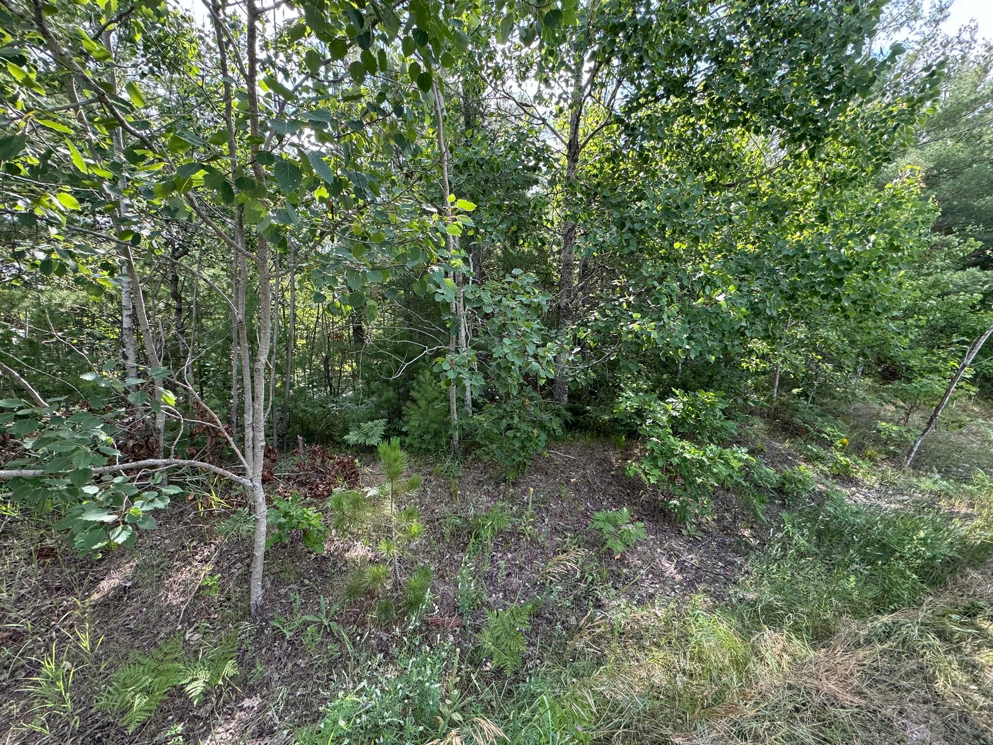 10320 Upper Mograin Road Cheboygan, MI 49721 - Photo 17 of 24 IMG_9380