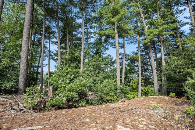 $680,000 | 12487 Horseshoe Drive Northeast, Gowen, MI 49326