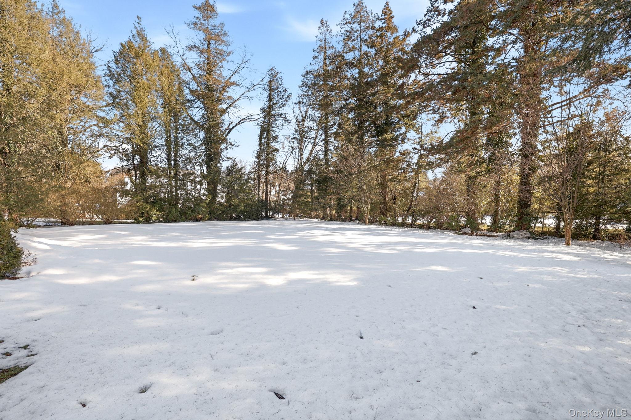 42 Butler Road Scarsdale, NY 10583 - Photo 30 of 35 Large level private yard