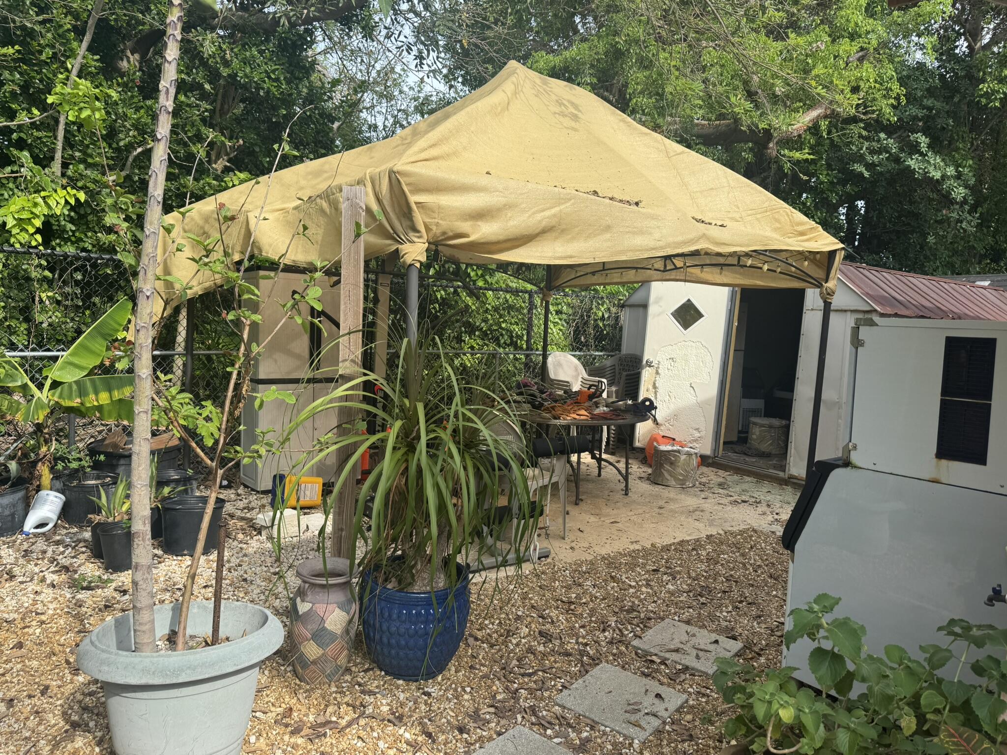 252 66th Street Marathon, FL 33050 - Photo 12 of 13 Back Yard with Shed