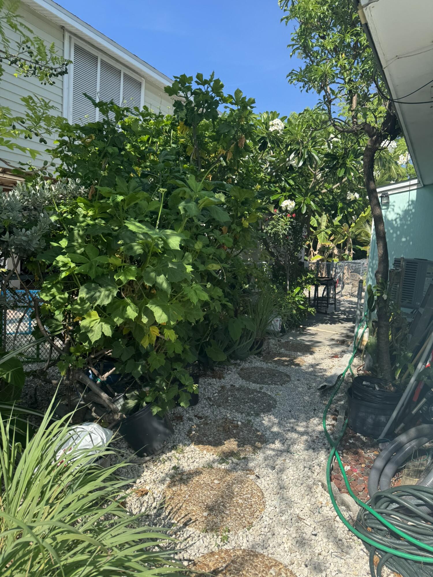 252 66th Street Marathon, FL 33050 - Photo 2 of 13 Back Walkway