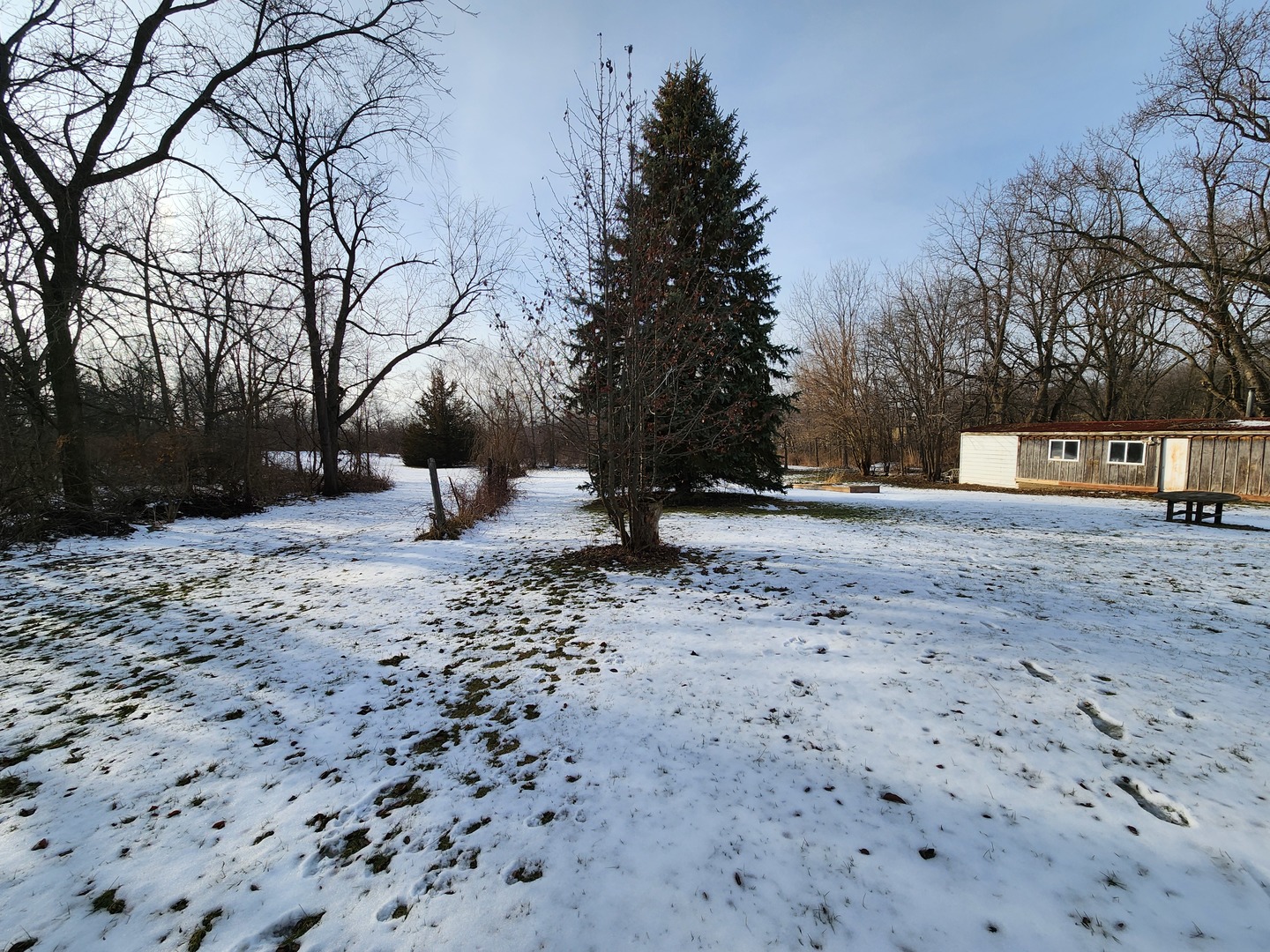 47 Route Maple Park Maple Park, IL 60151 - Photo 32 of 36 a view of a yard with a tree