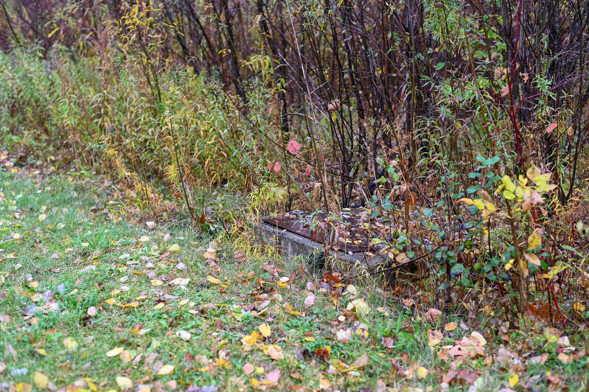 0 Stafford Road Plattsburgh, NY 12901 - Photo 12 of 14 Sewer at the street