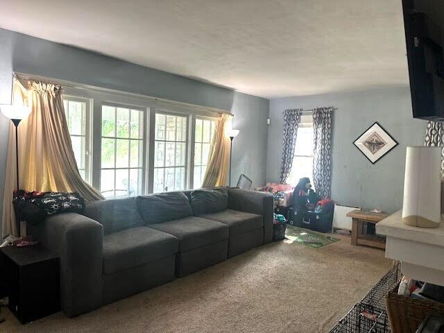 460 East Madison Avenue Springfield, OH 45503 - Photo 12 of 22 Living room 1