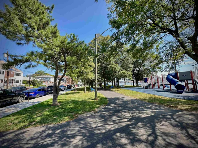 a view of a park with large trees