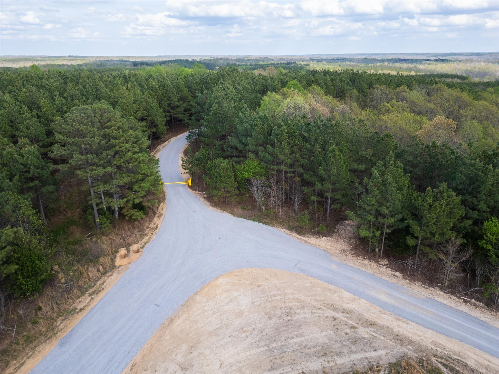 0 Highway 232 Dover, TN 37058 - Photo 11 of 14 a view of a yard with a street