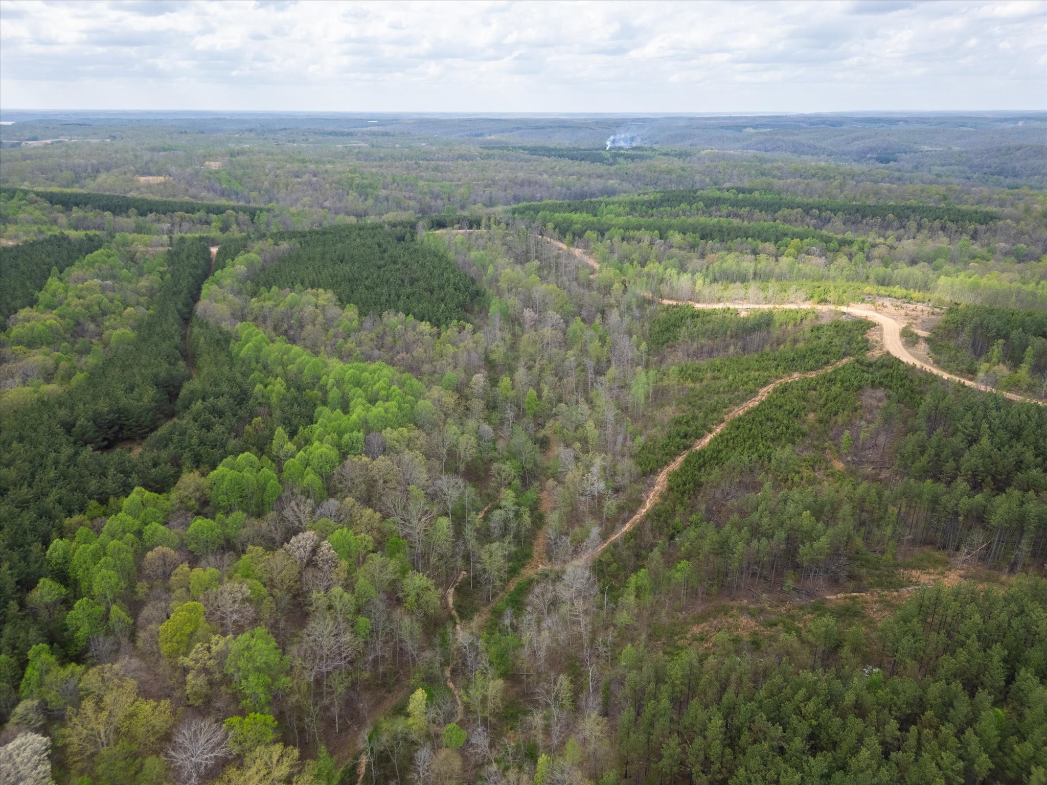 0 Highway 232 Dover, TN 37058 - Photo 7 of 14 a view of a lake with a yard