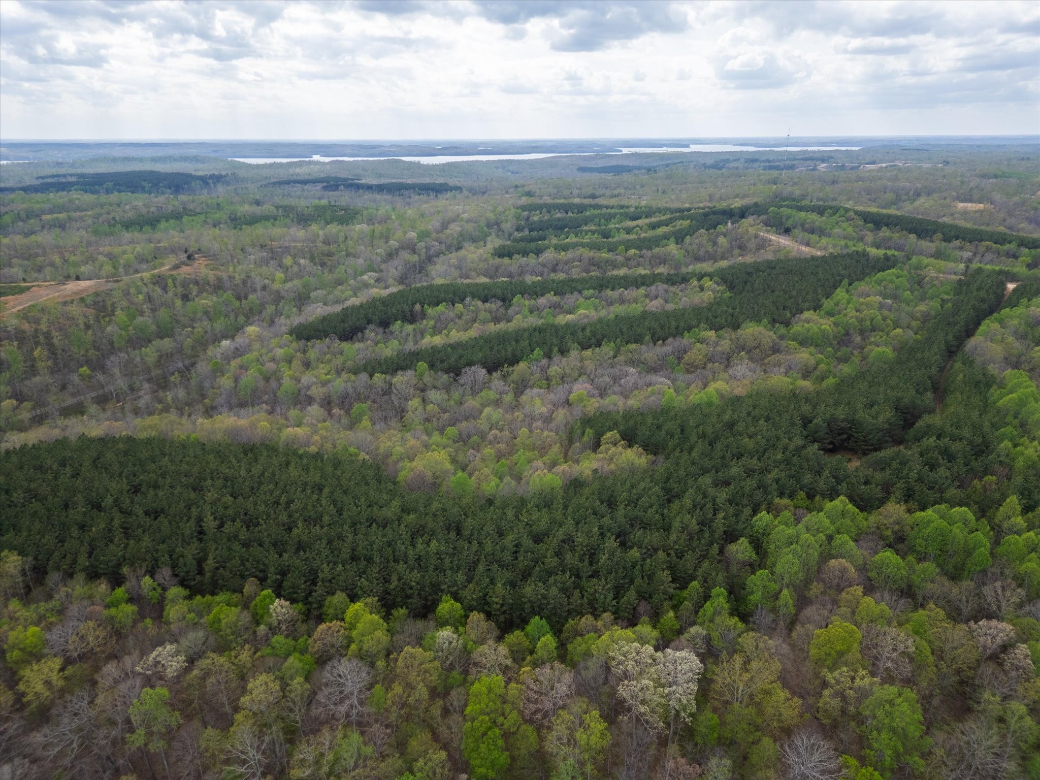 0 Highway 232 Dover, TN 37058 - Photo 8 of 14 an aerial view of forest