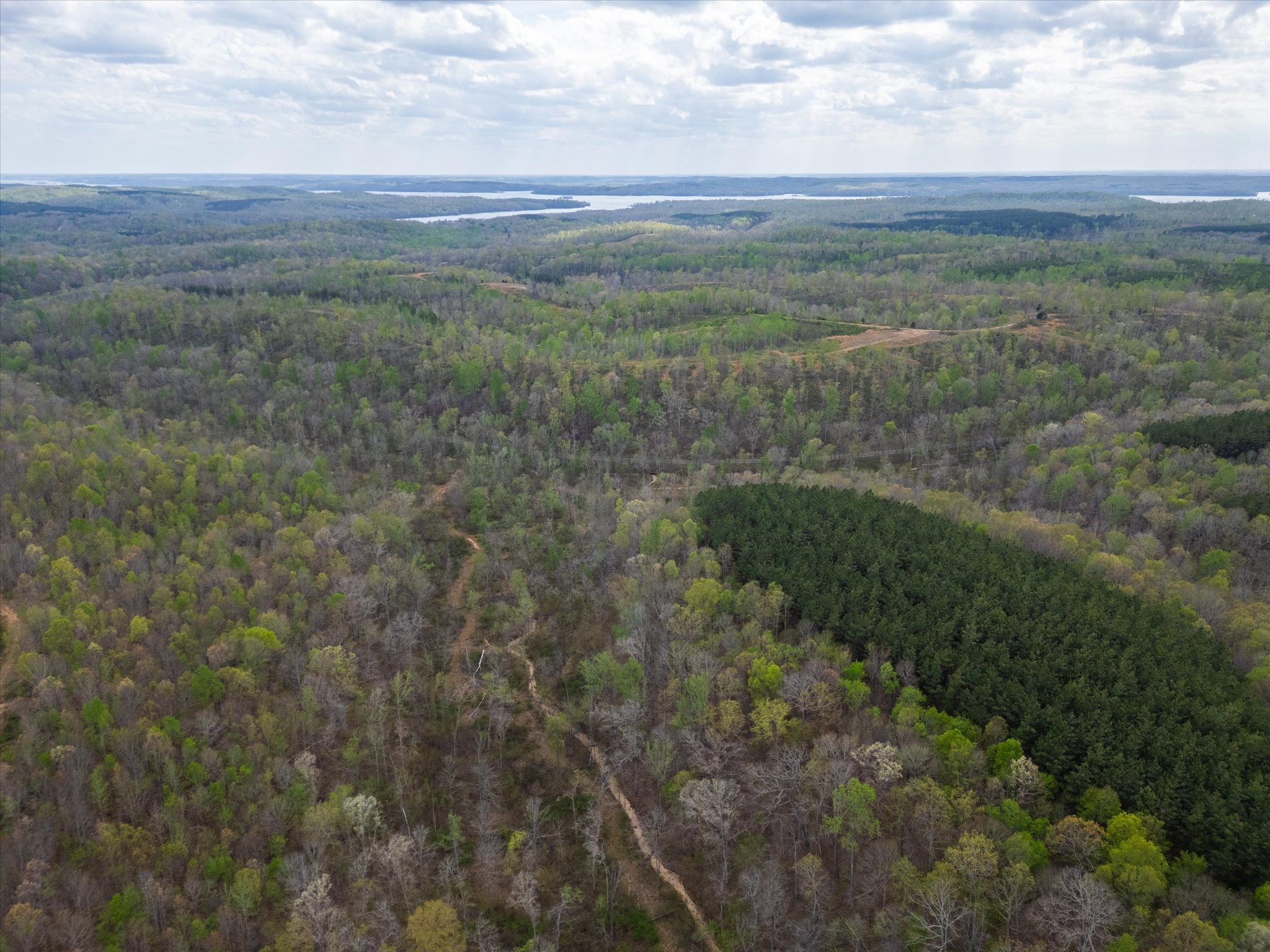 0 Highway 232 Dover, TN 37058 - Photo 9 of 14 a view of a field of grass and trees
