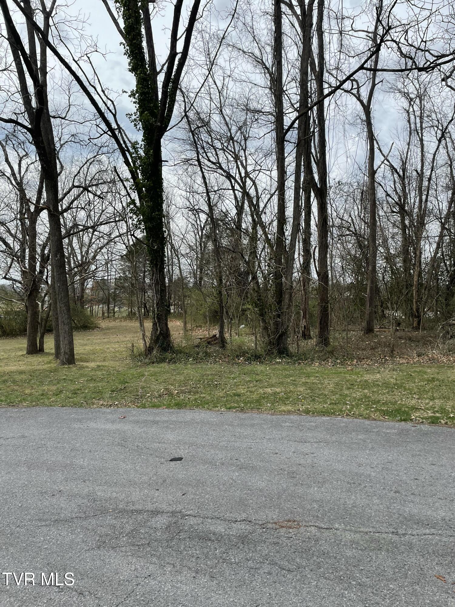 46-ac Ridgemont Drive, Unit 6 Greeneville, TN 37745 - Photo 10 of 10 IMG_20250318_164318