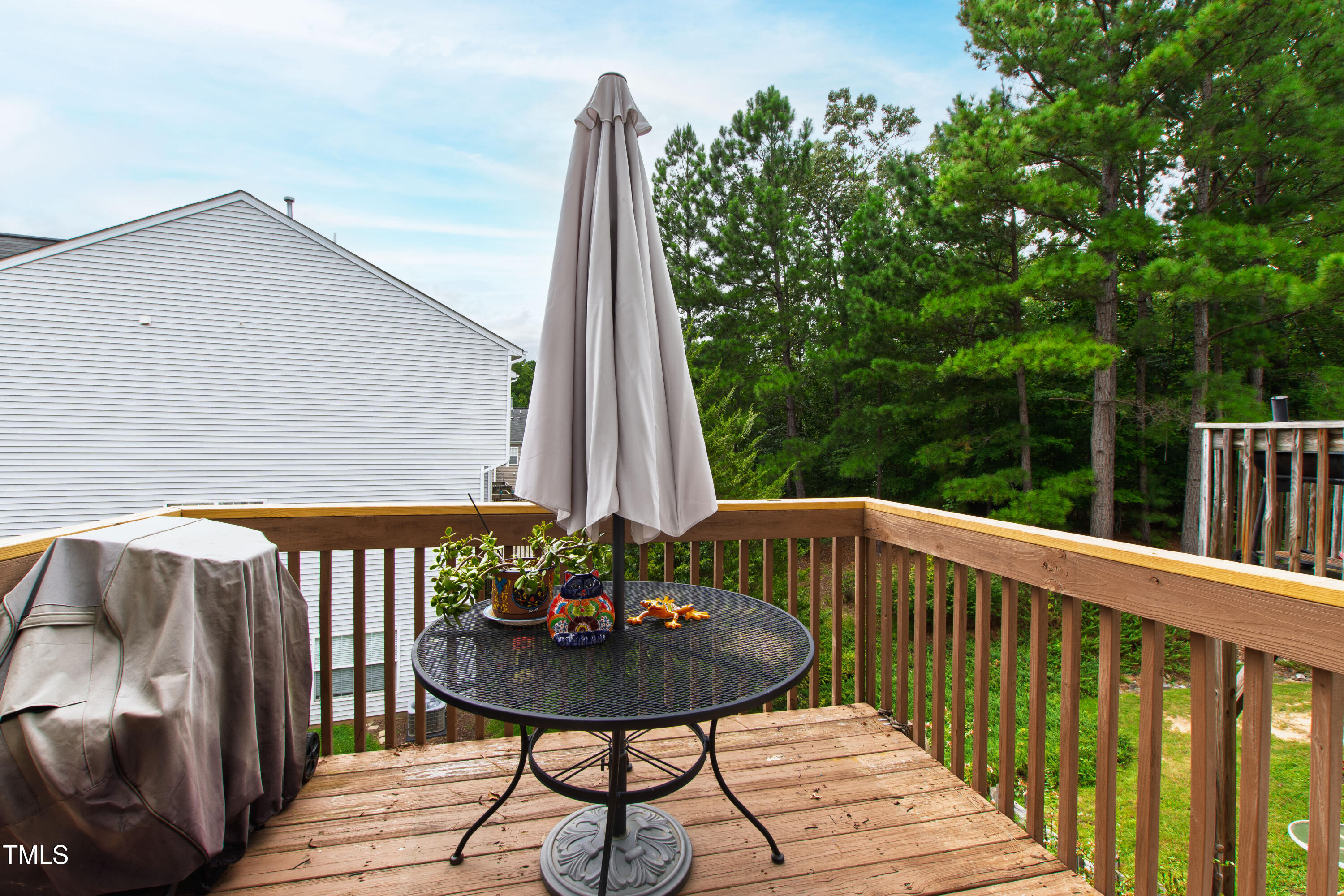 1670 Snow Mass Way Durham, NC 27713 - Photo 14 of 26 Snow Mass (26)