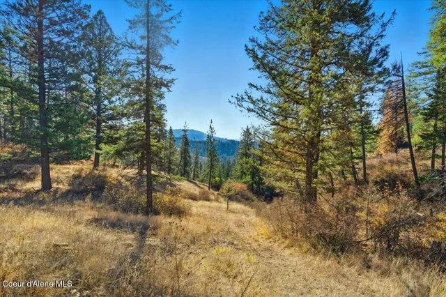 $649,000 | 1435 Canyon Ridge Lane, Plummer, ID 83851