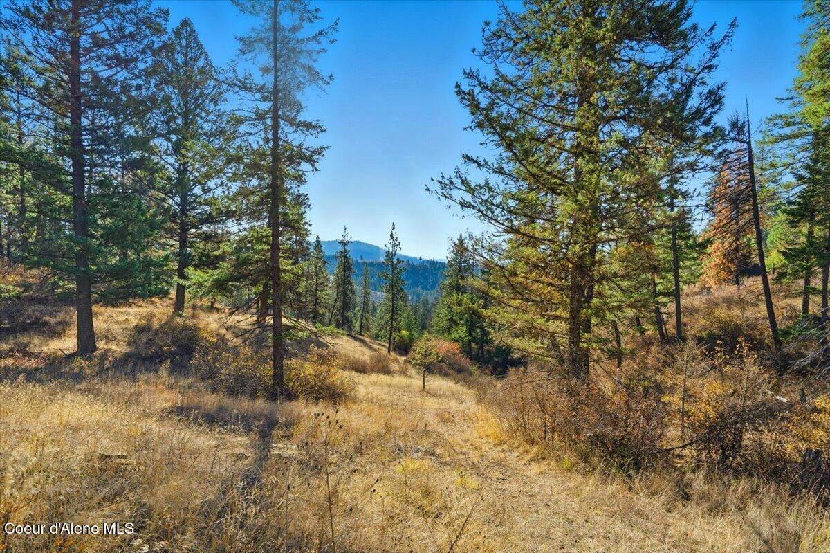 1435 Canyon Ridge Lane Plummer, ID 83851 - Photo 66 of 74 65-Property views