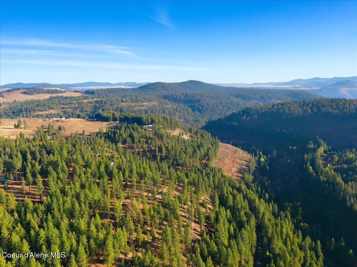 1435 Canyon Ridge Lane Plummer, ID 83851 - Photo 71 of 74 70-Aerial views