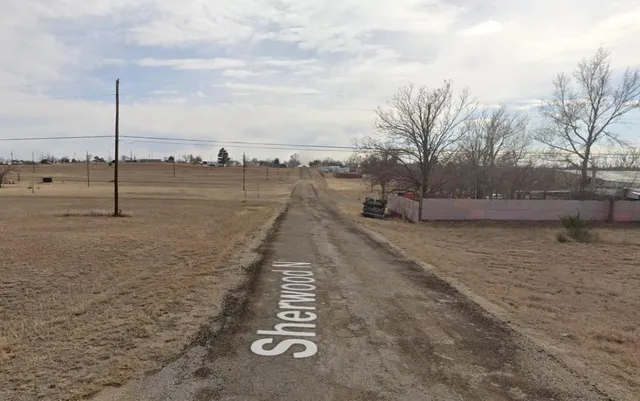 a view of a dry yard with trees