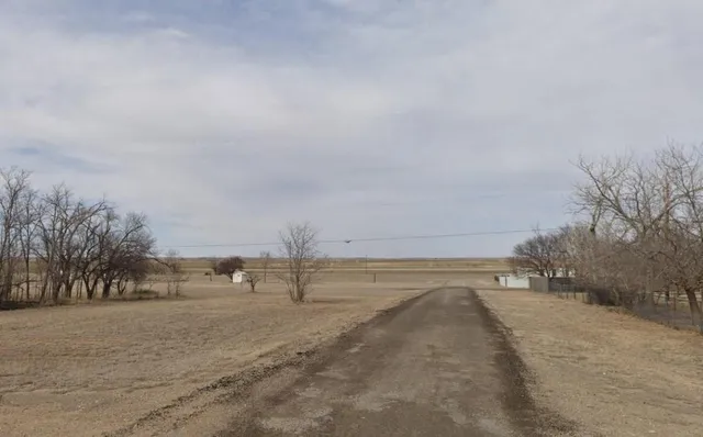 a view of a field with trees in the background