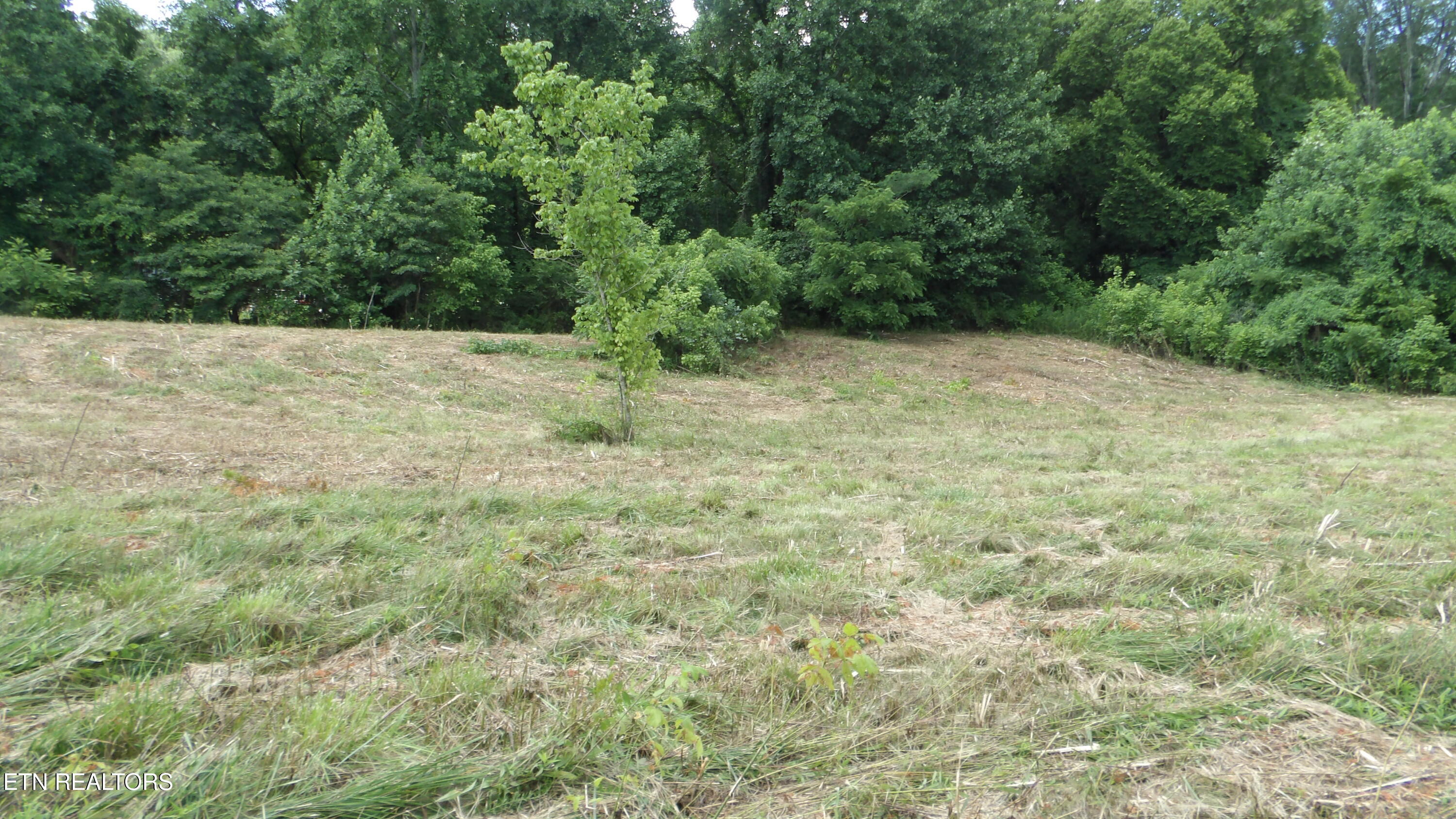 5.6-ac Lonnie Reecer Road Celina, TN 38551 - Photo 11 of 47 100_0043