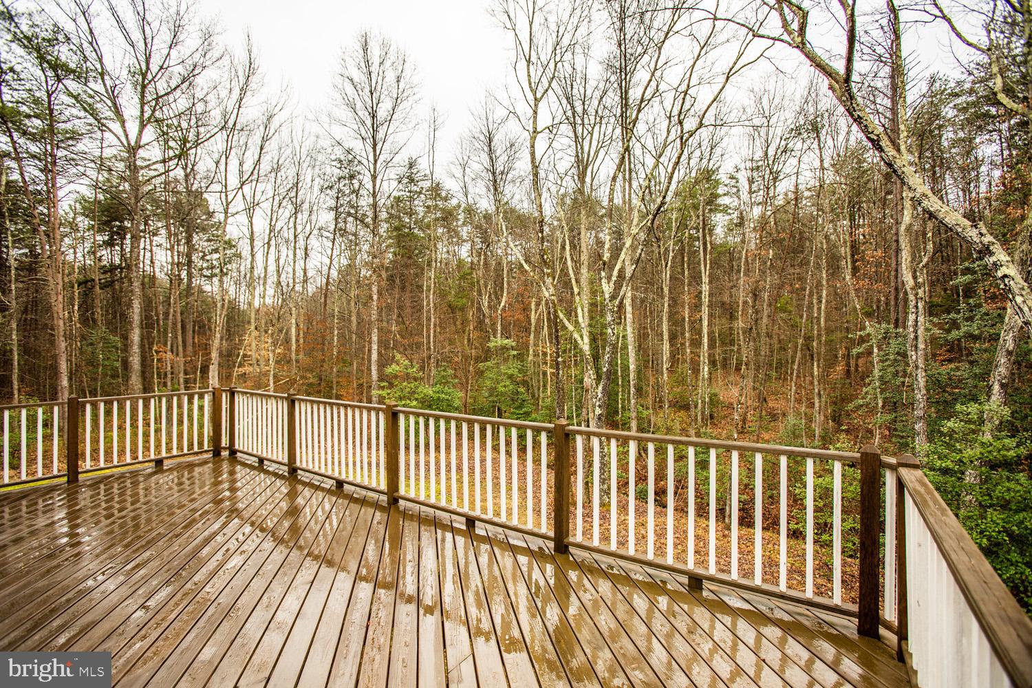 2252 Partlow Road Beaverdam, VA 23015 - Photo 40 of 52 Look out onto your peaceful acreage