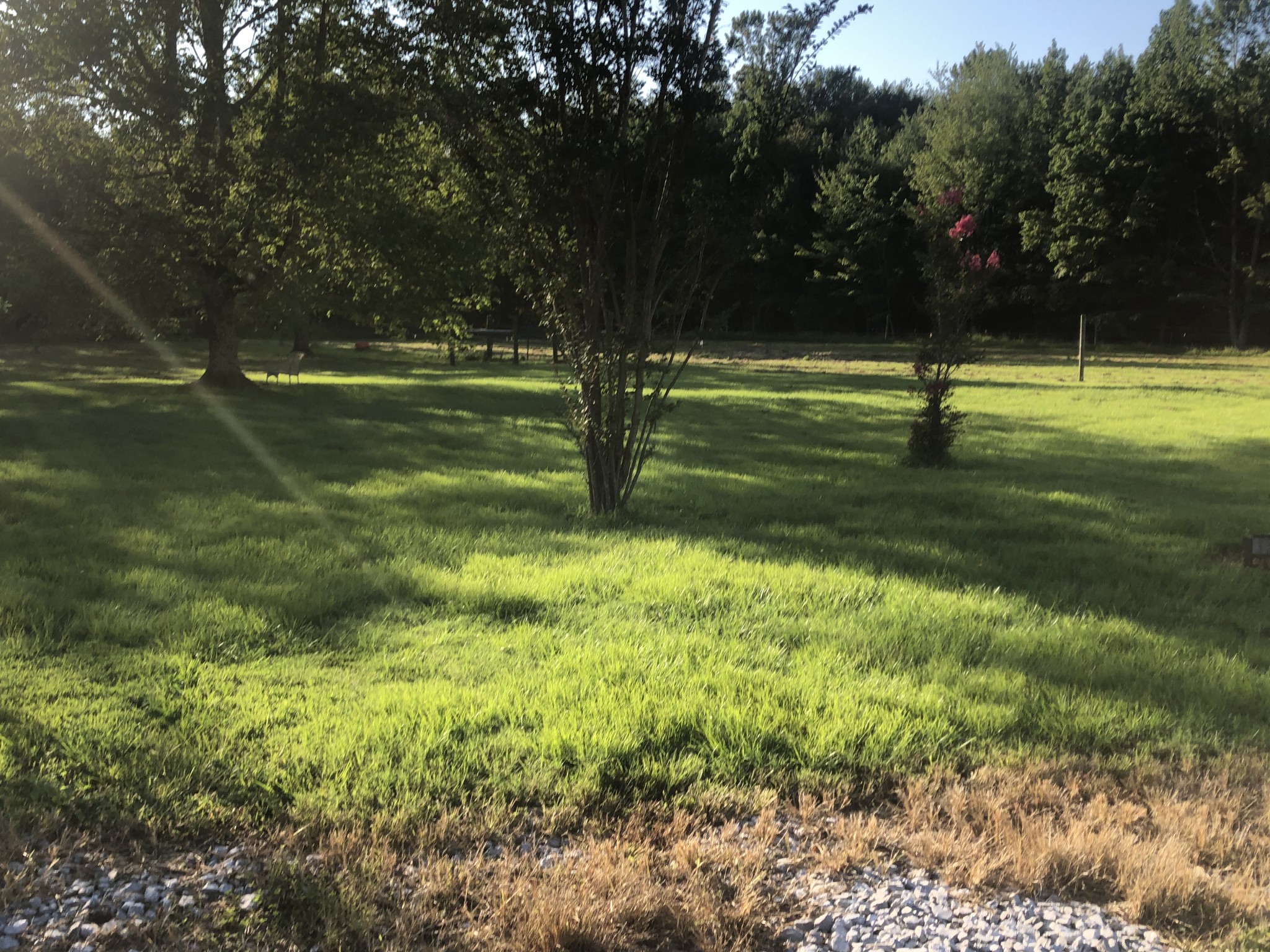 1801 Union Camp Road Lafayette, TN 37083 - Photo 4 of 18