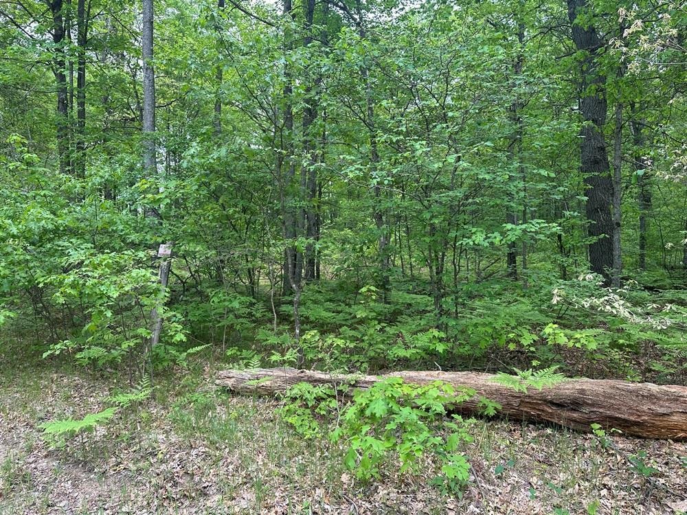 6-acres Easement Road Harrison, MI 48625 - Photo 6 of 8