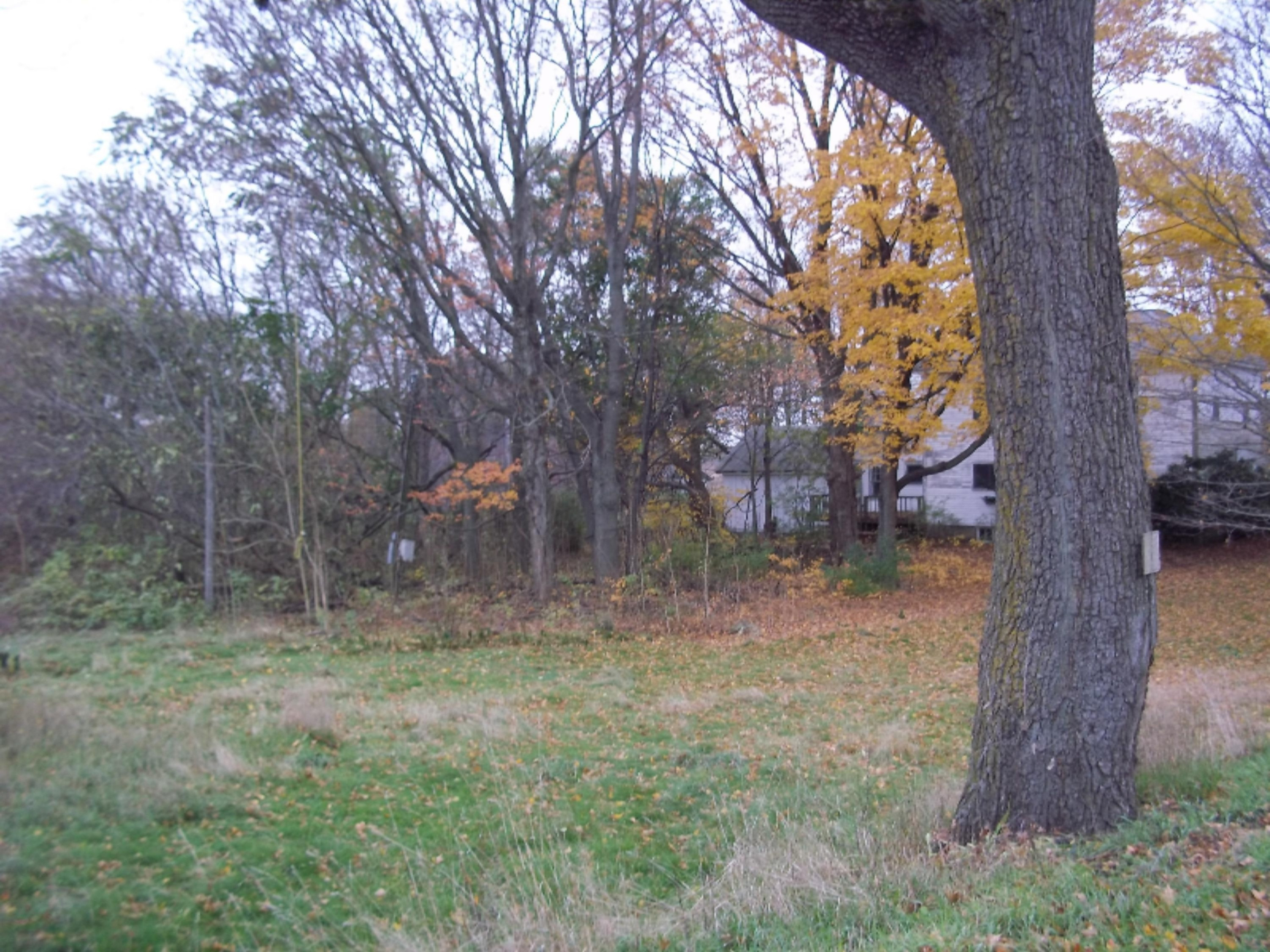 14817 Gleason Road Three Rivers, MI 49093 - Photo 4 of 6 100_5395