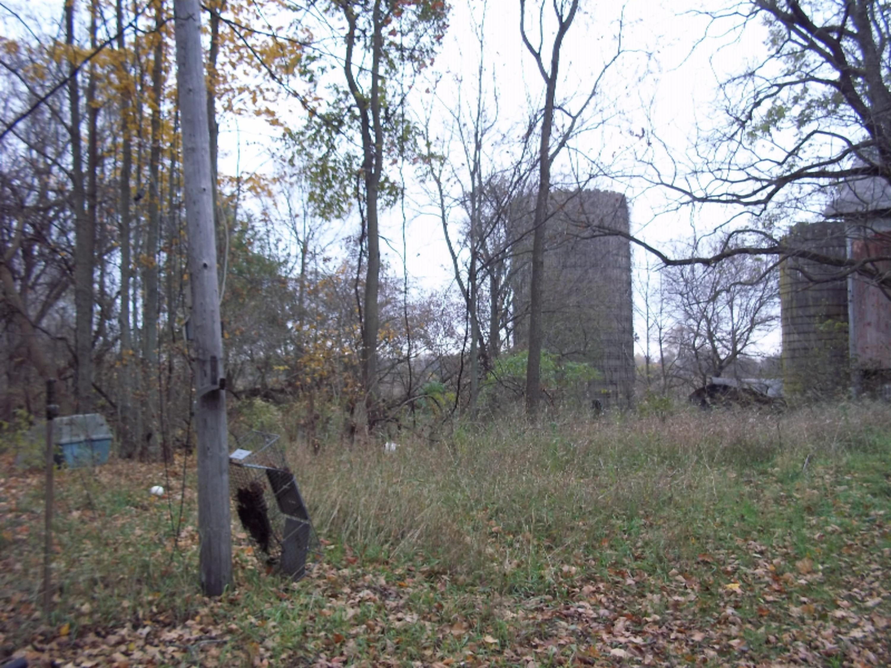 14817 Gleason Road Three Rivers, MI 49093 - Photo 6 of 6 100_5397