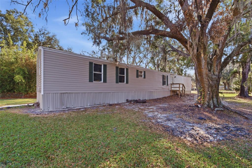 3912 Cason Road Plant City, FL 33566 - Photo 1 of 1 a view of a backyard with a tree