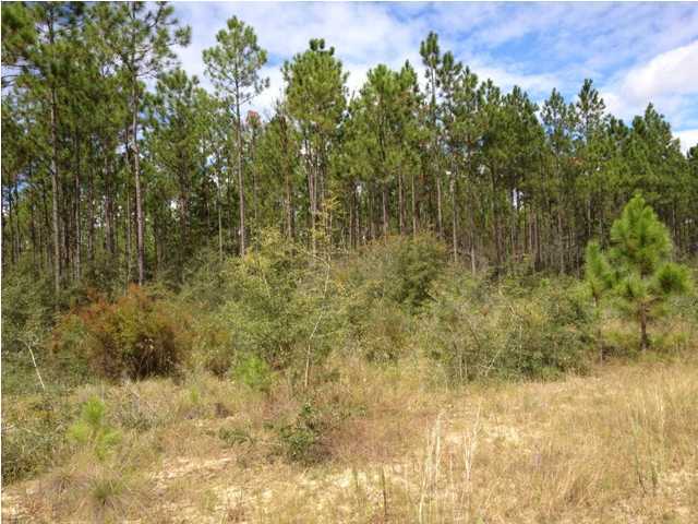 5-acres Joe Dugger Road Freeport, FL 32439 - Photo 1 of 1 Gallery Image 1