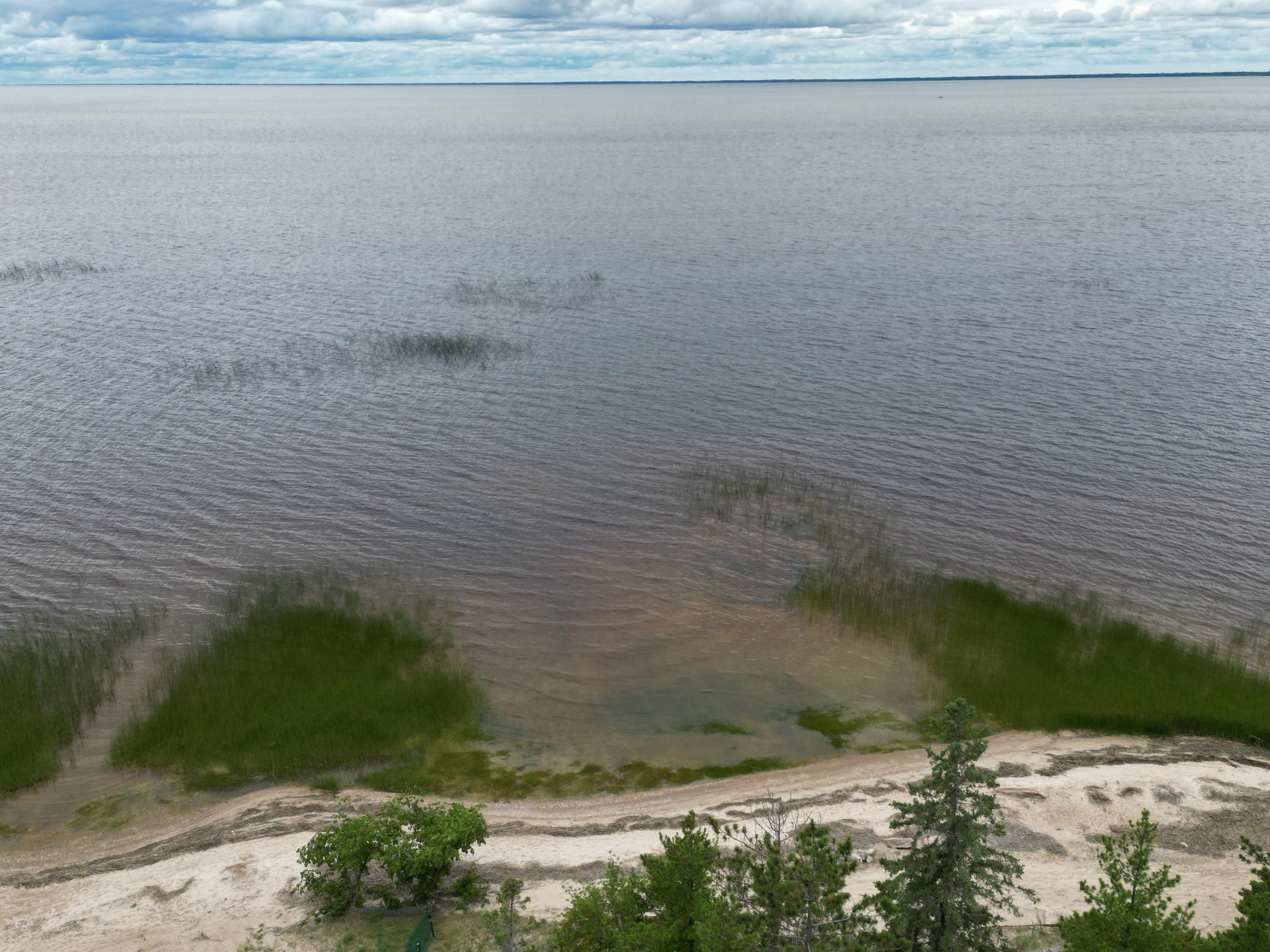 53533 Arbor Ridge Road Northeast Waskish, MN 56685 - Photo 5 of 40