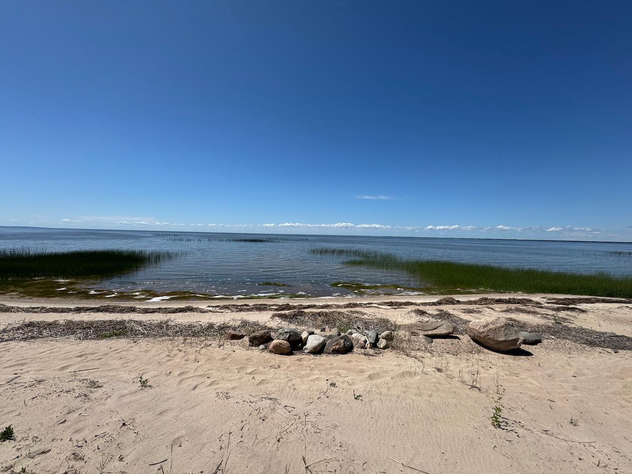 53533 Arbor Ridge Road Northeast Waskish, MN 56685 - Photo 6 of 40