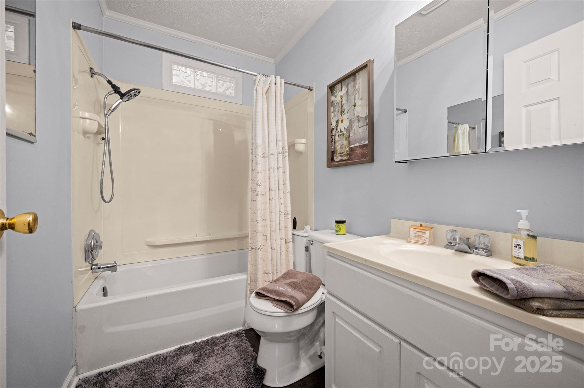 790 County Line Road Rutherfordton, NC 28139 - Photo 13 of 36 a bathroom with a sink a toilet and a bathtub