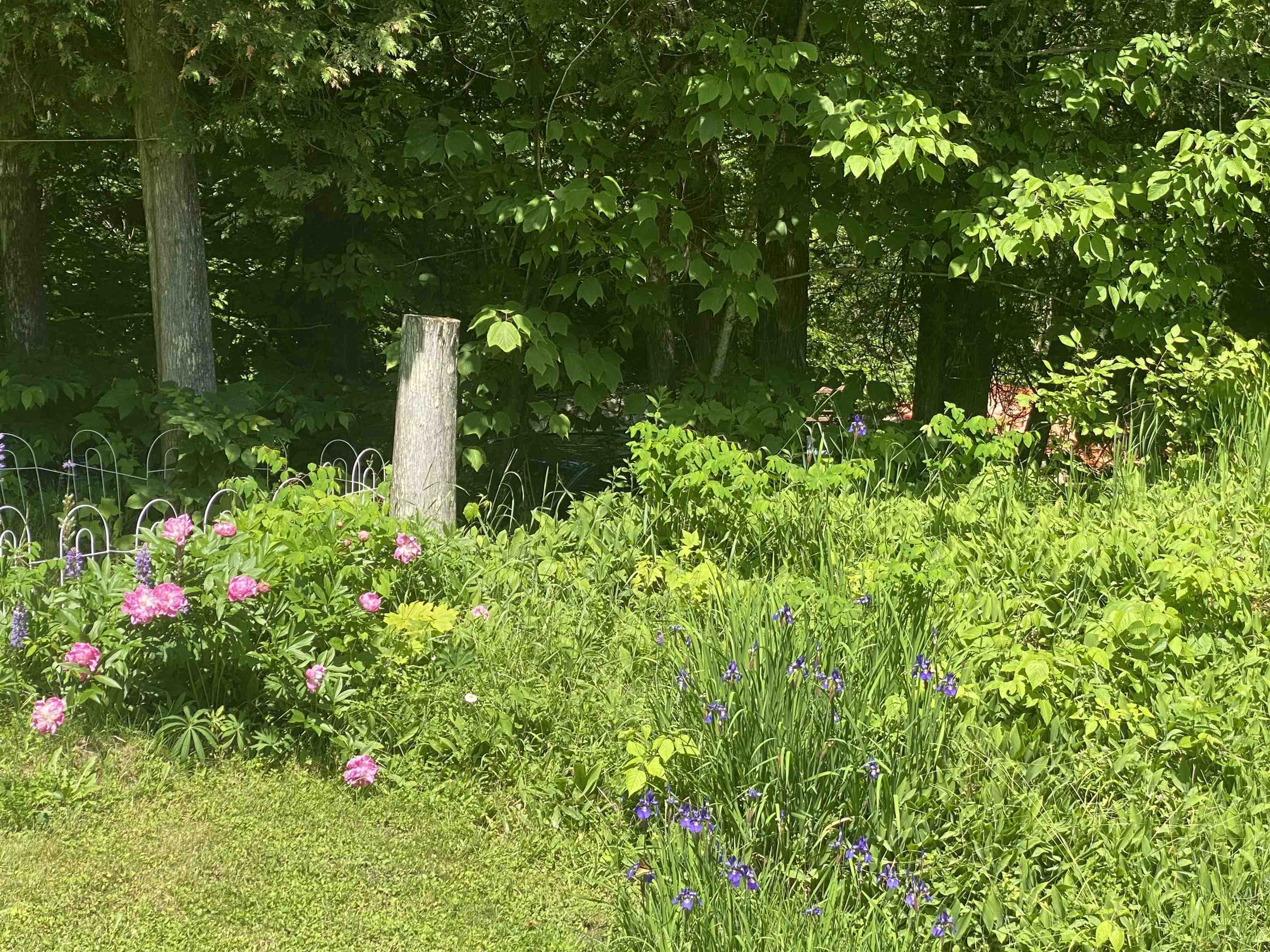 1313 Eligo Lake Road Hardwick, VT 05843 - Photo 13 of 13
