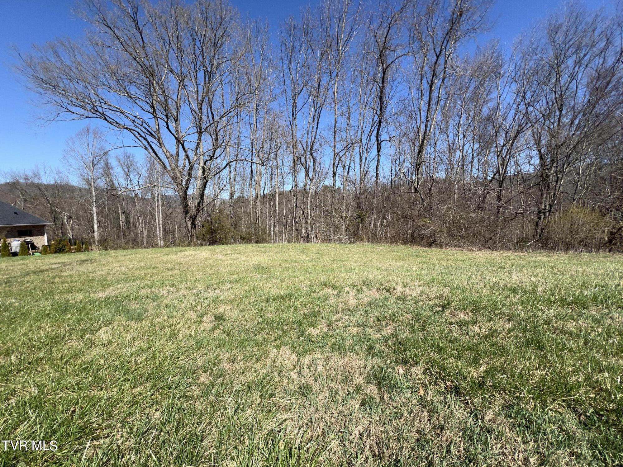 Lot 8 Deer Ridge, Unit 8 Butler, TN 37640 - Photo 6 of 13 Lot Back Left