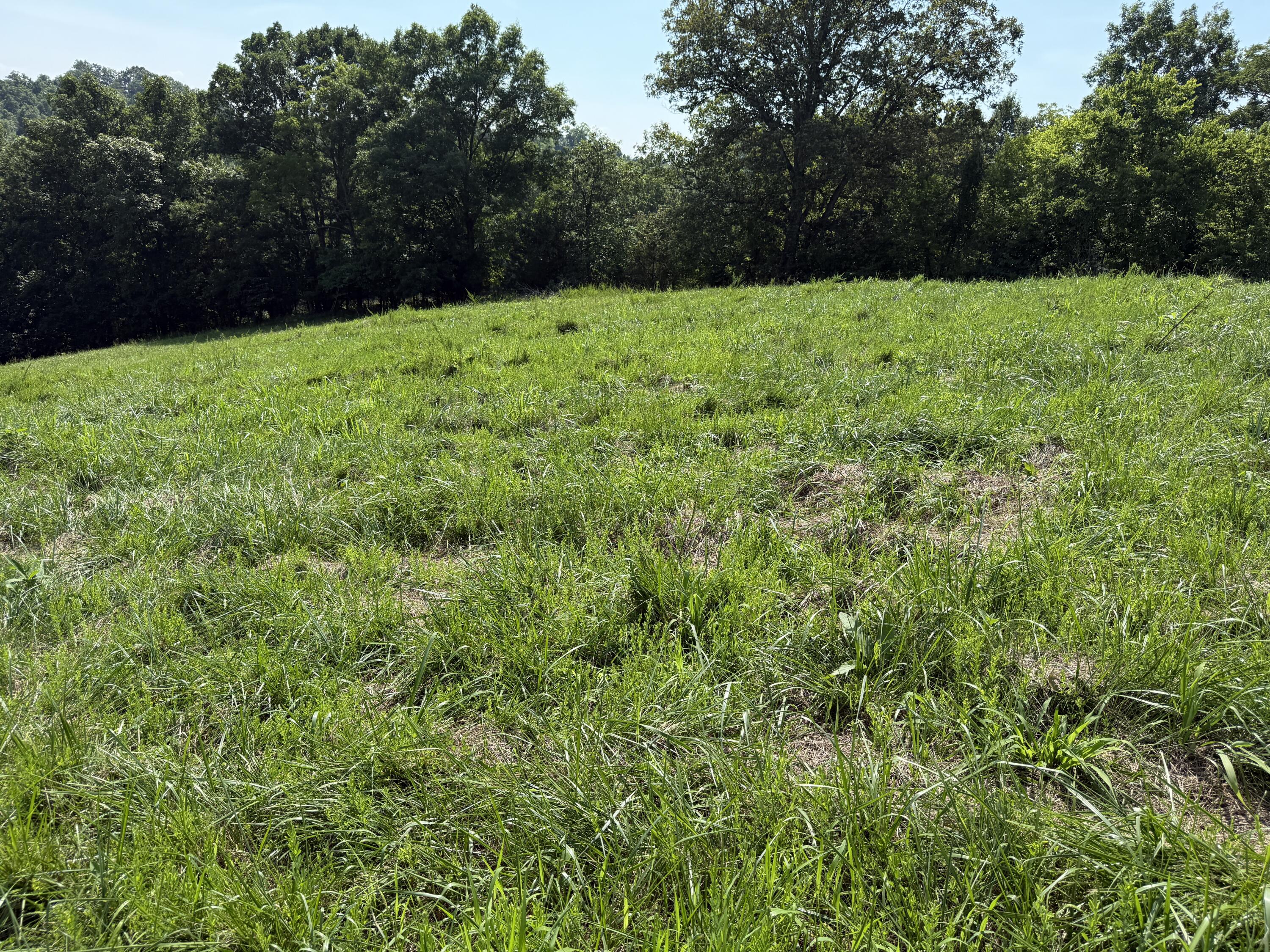 0 Goldsvalley Road Dry Ridge, KY 41035 - Photo 16 of 50