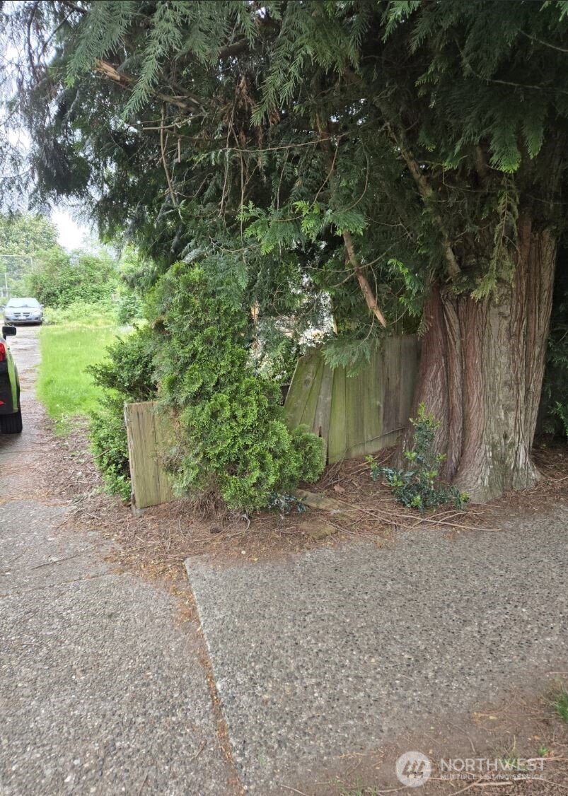 8452 12th Avenue Southwest Seattle, WA 98106 - Photo 3 of 9