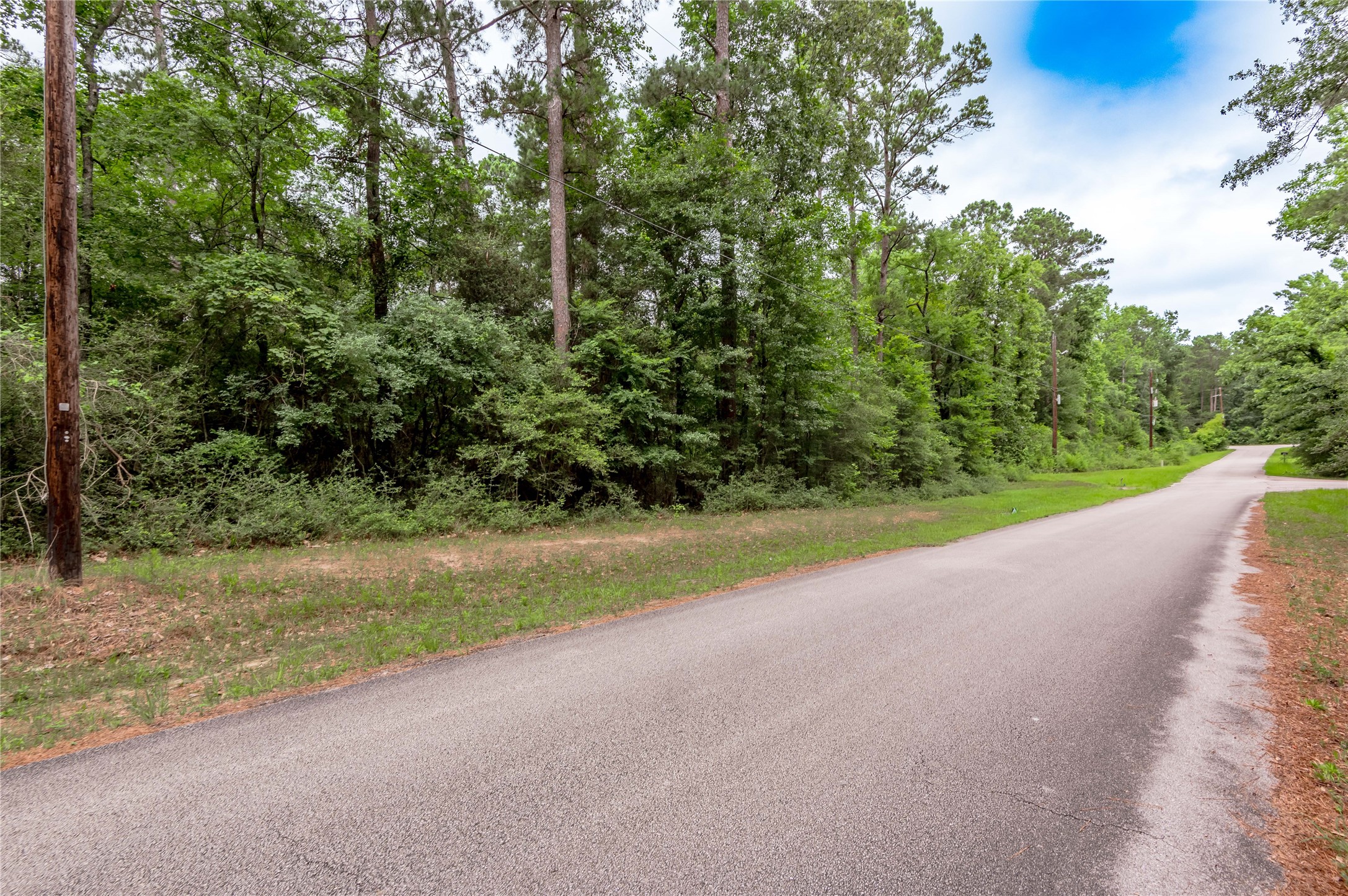 Lot 07 Oak Drive Trinity, TX 75862 - Photo 6 of 36