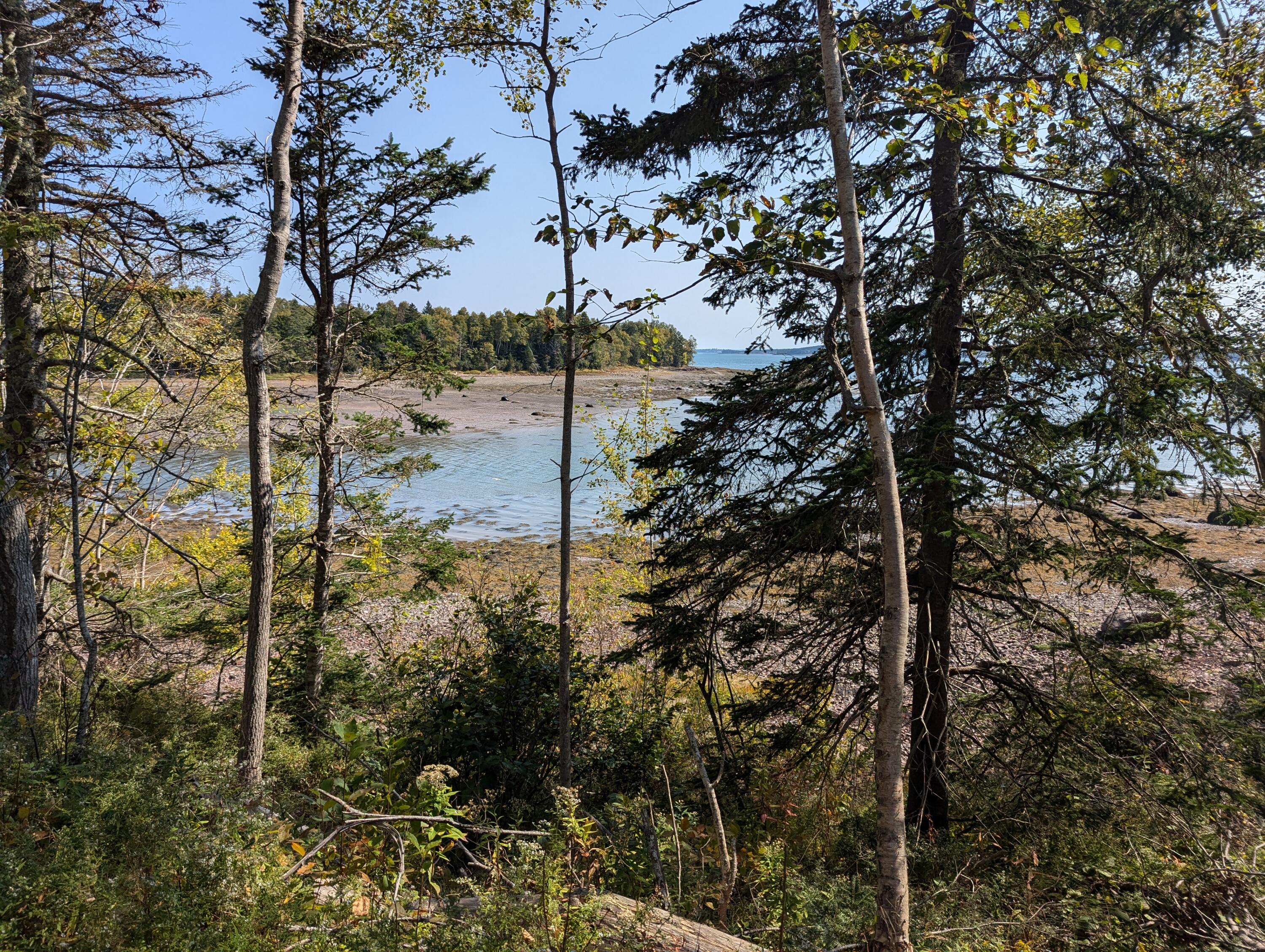 2 3 4 Birch Point Road Perry, ME 04667 - Photo 4 of 34