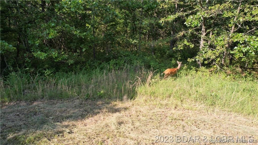 Tbd Ryland Circle Edwards, MO 65326 - Photo 3 of 12 Near lake access in he Forbes Lake of the Ozarks s