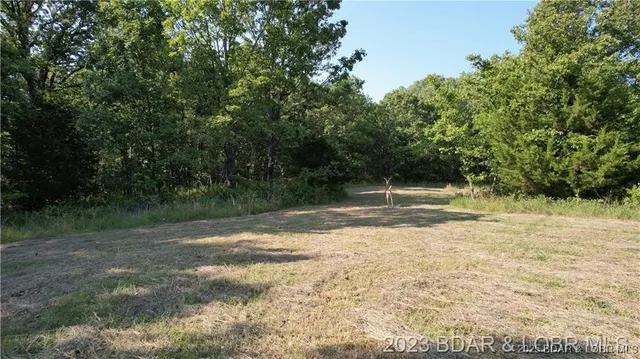 $12,000 | Tbd Ryland Circle, Edwards, MO 65326