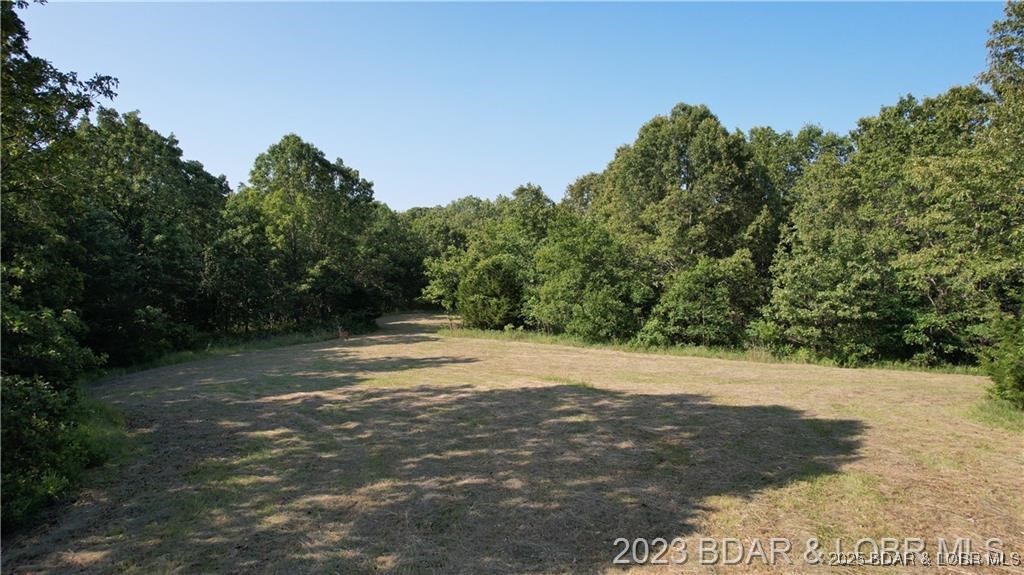 Tbd Ryland Circle Edwards, MO 65326 - Photo 6 of 12 Great picture of the clearing, ideal for a deer pl
