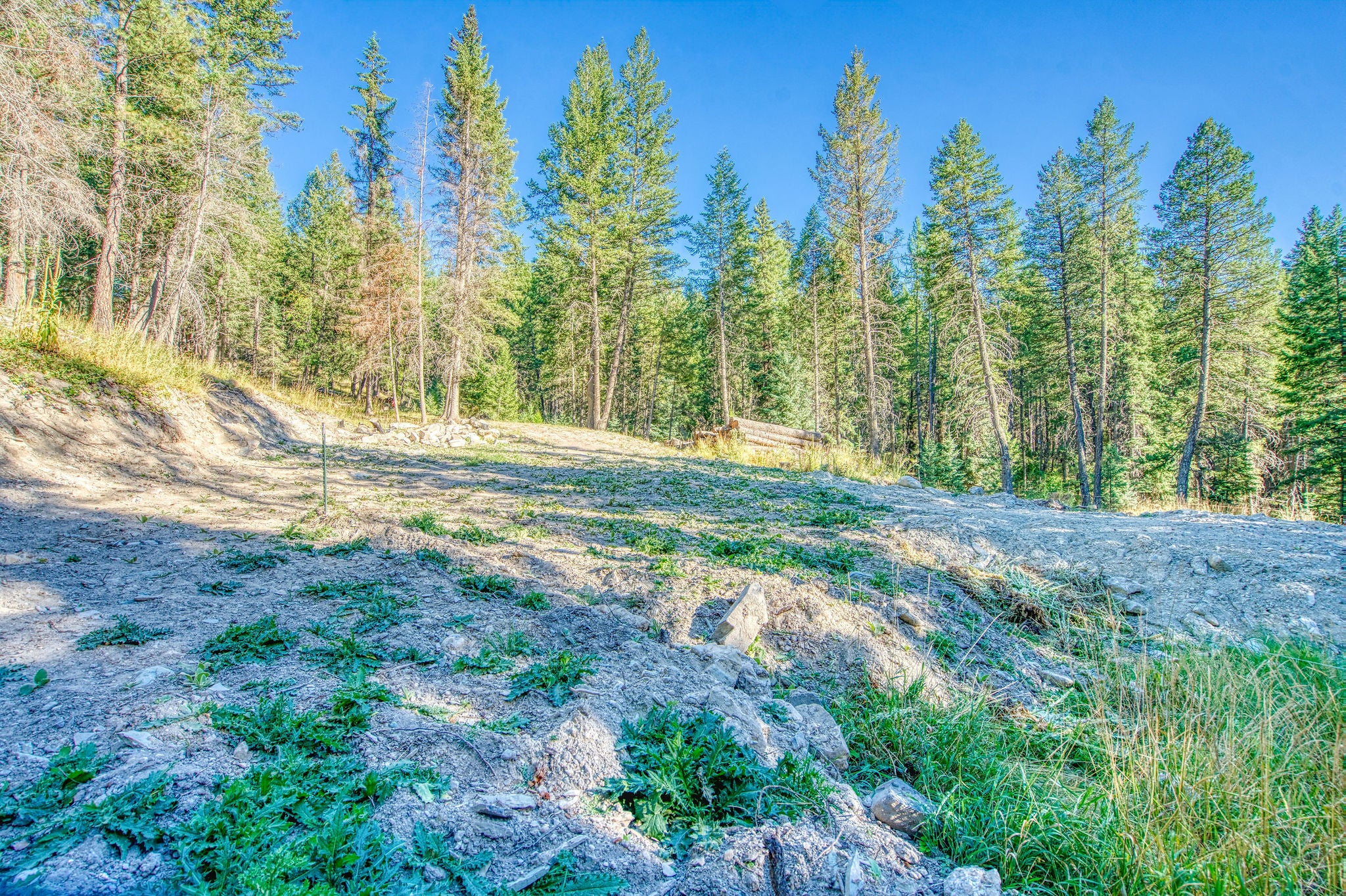 1340 Coon Hollow Road Kila, MT 59920 - Photo 15 of 25 Gallery Image 15