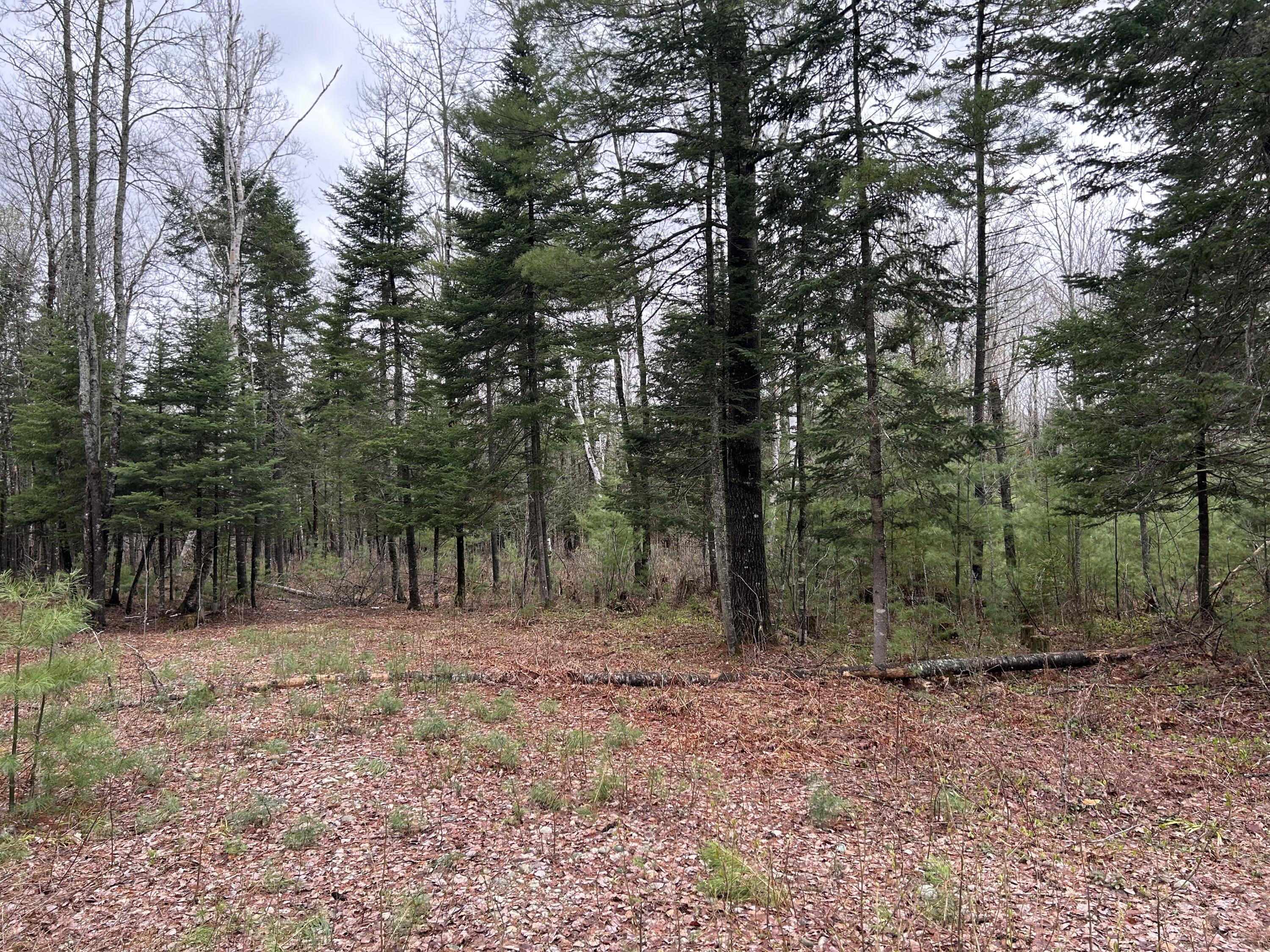 110 Farmers Hill Road Andover, ME 04216 - Photo 2 of 5 IMG_6823