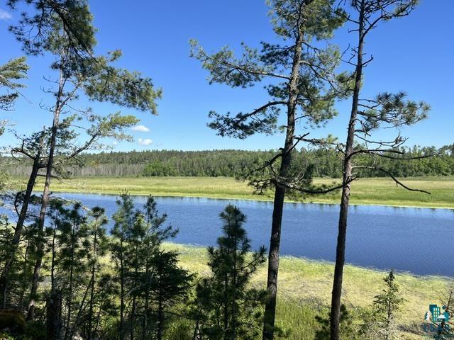 7168 Gold Mine Road Orr, MN 55771 - Photo 3 of 40