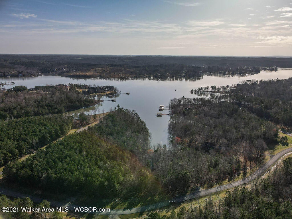 Lot#89 Stoney Point Road North Double Springs, AL 35553 - Photo 8 of 32 Gallery Image 8