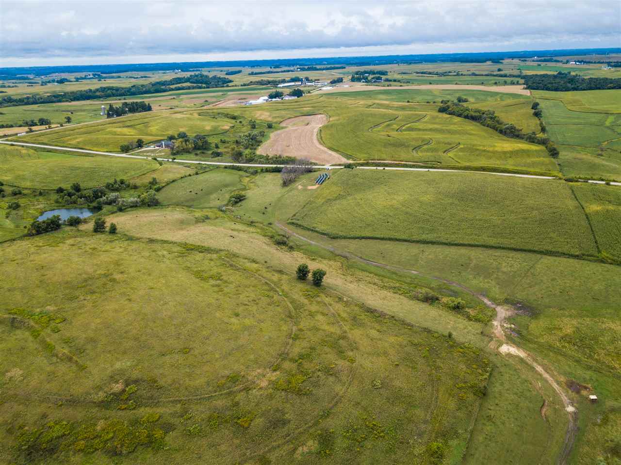 296-acres Gunder Road Postville, IA 52162 - Photo 3 of 21 Gallery Image 3