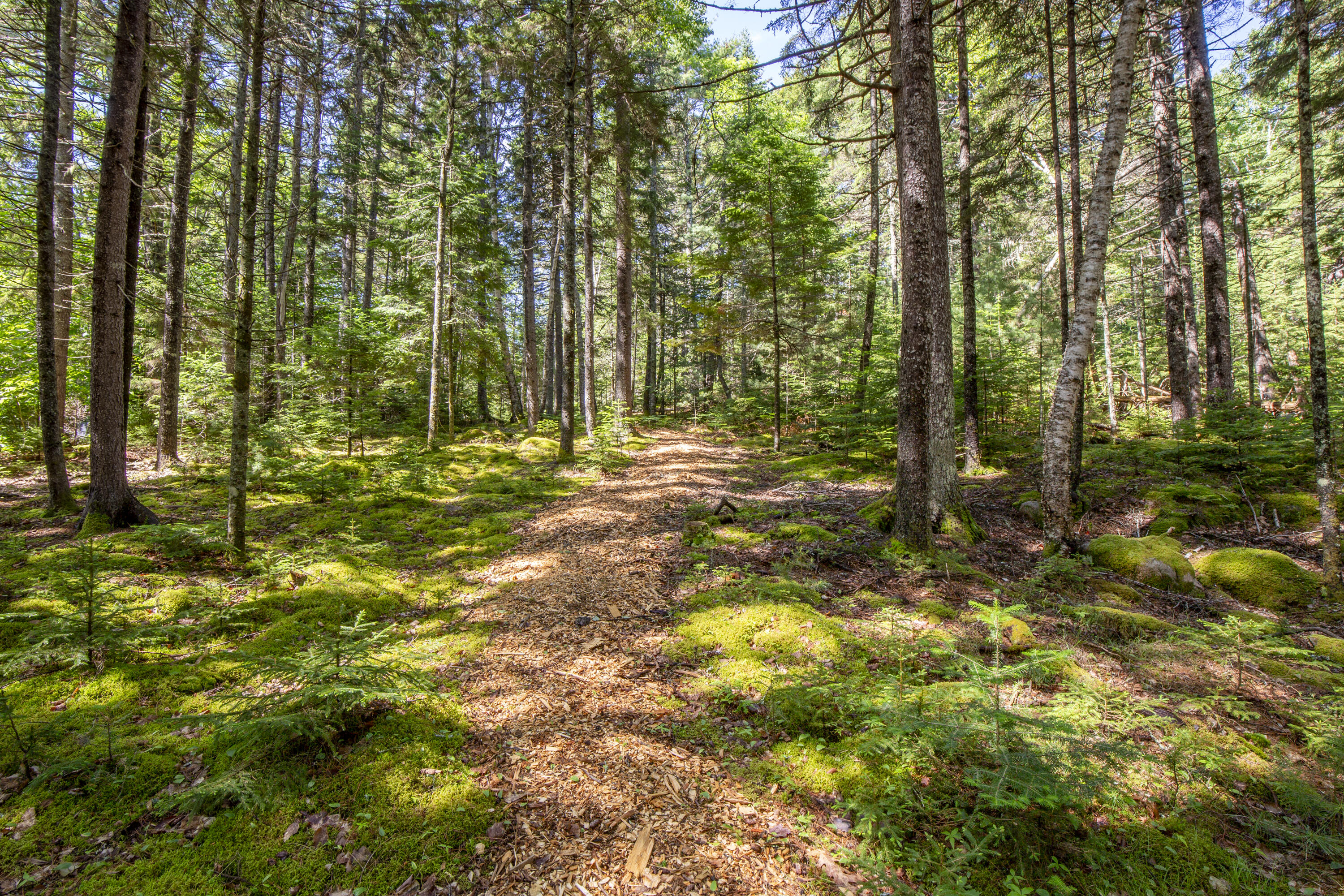 12 Pretty Marsh Road Mount Desert, ME 04660 - Photo 36 of 40 48-12PrettyMarshRd-MDI-KS