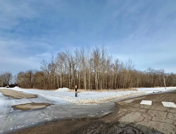 $19,500 | Tbd Gladys Street, Warroad, MN 56763