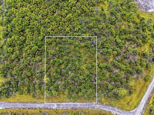 $18,000 | 2806 Flameflower Terrace Southwest, Melbourne, FL 32904