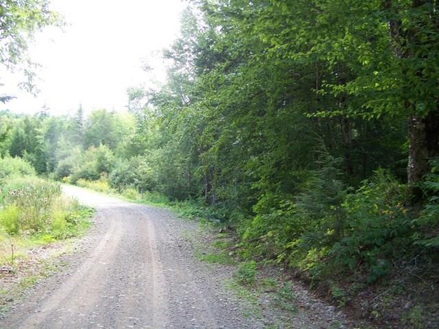 Lot 30 Mcginley Road Lee, ME 04455 - Photo 14 of 15 Photo
